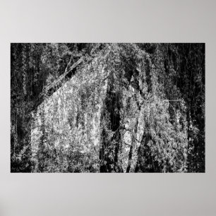 affiche de la maison de la vie