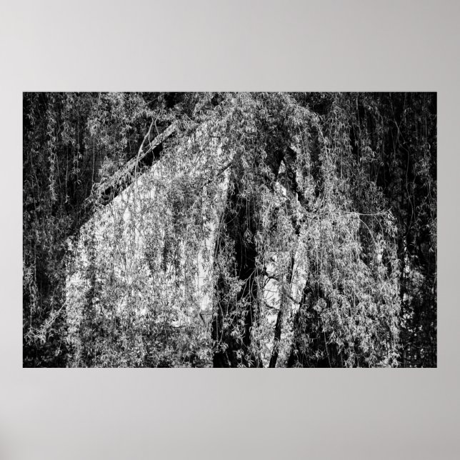 affiche de la maison de la vie (Devant)