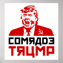Affiche de la manifestation de Trump 2017 : "COMRA
