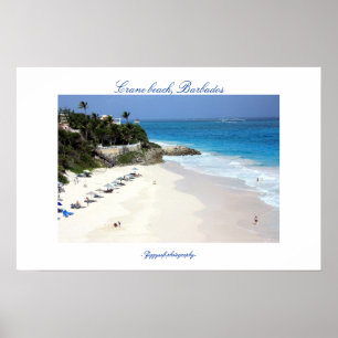 Affiche de la plage de grue
