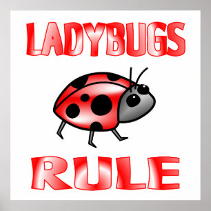 AFFICHE DE LA RÈGLE DE LADYBUGS