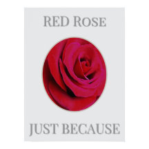 Affiche de la rose rouge