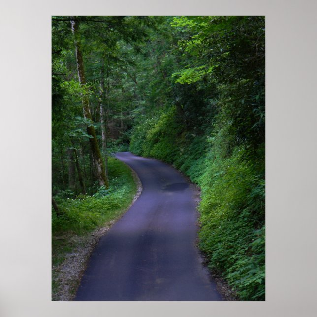 Affiche de la route nationale (Devant)