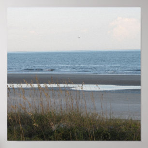 Affiche de la scène de plage