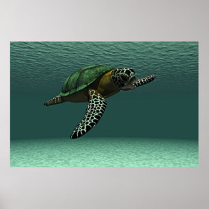 Affiche de la tortue de mer