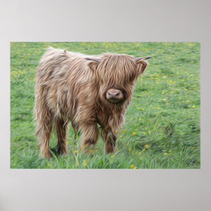 affiche de la vache Scottish Highland