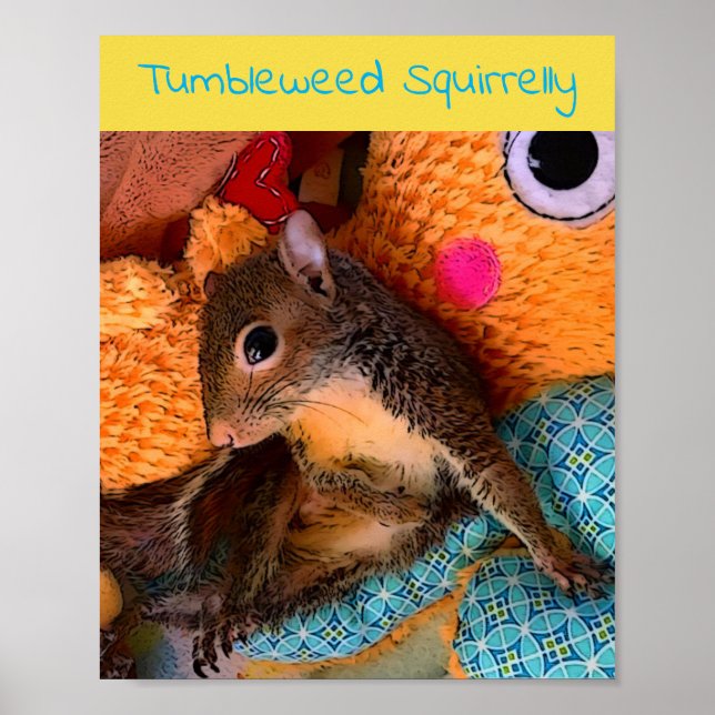 Affiche de l'algue (Devant)