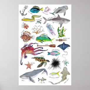 Affiche de l'alphabet sous la mer