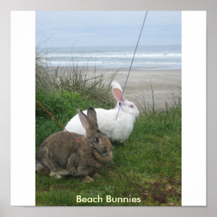 Affiche de lapins de plage