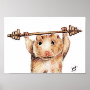 Affiche de l'entraînement (Hamster)