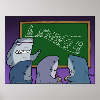 Affiche de l'évolution Shaaark !