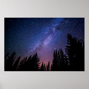 Affiche de l'illustration   d'arbres et d'étoiles