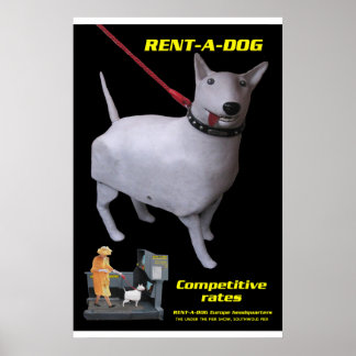 affiche de location de tim hunkin