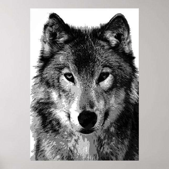 Affiche de loup gris (Devant)