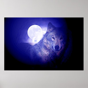 Affiche de loup gris et de lune - Loups de nuit bl