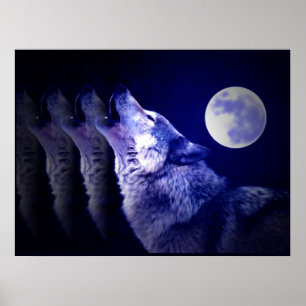 Affiche de loup hurlant à la lune - Affiches de lo
