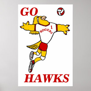 Affiche de mascotte de volley-ball SheHawk