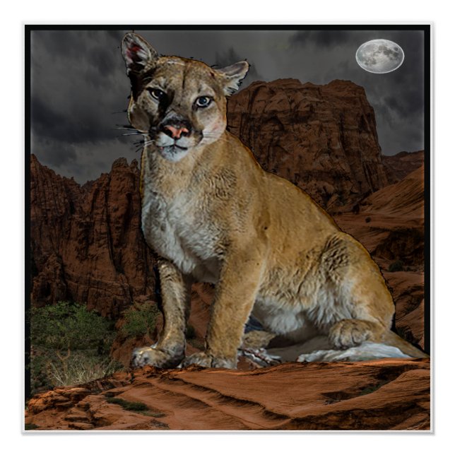 affiche de montagne cougar (Devant)