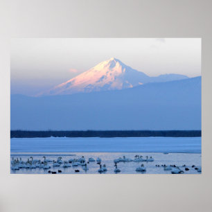 Affiche de Mt. Shasta la Californie