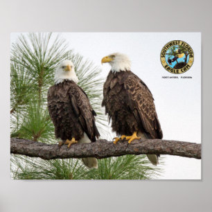 Affiche de mur de came de SWFL Eagle