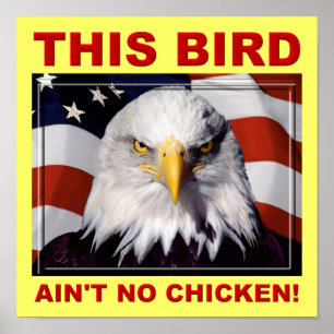 Affiche de pancarte American Eagle Ain't No Chicke