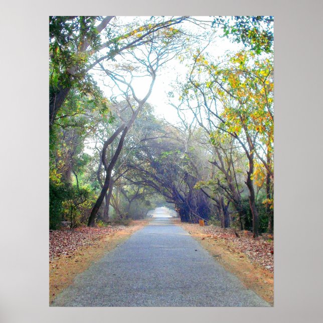 affiche de parcours natures (Devant)