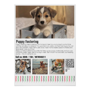 Affiche de parrainage de chiots