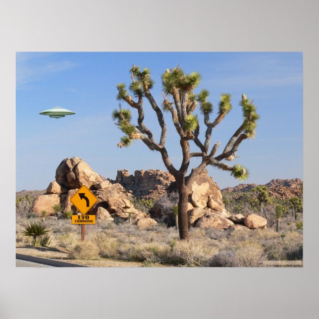 Affiche de passage de l'OVNI (Devant)