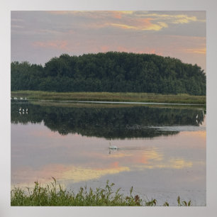 Affiche de paysage aquatique reflets du coucher de