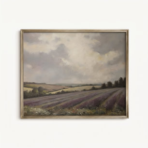 Affiche de paysage de champs de lavande anglaise