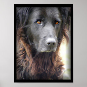 affiche de peinture de chien