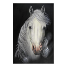 affiche de peinture d'étalon de cheval blanc