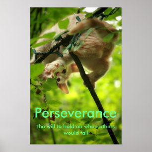 Affiche de Perserverance