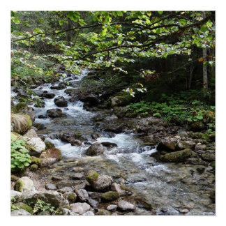 Affiche de photographie By The River