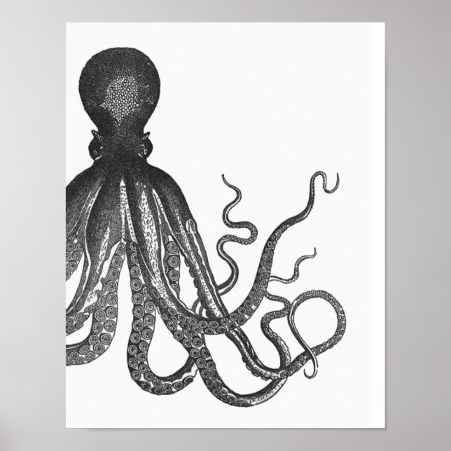 Affiche de pieuvre moderne noir et blanc (Devant)