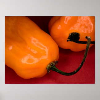 Affiche de piments habanero piquants