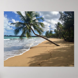 affiche de plage