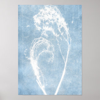 Affiche de plante de cœur de cyanotype bleu
