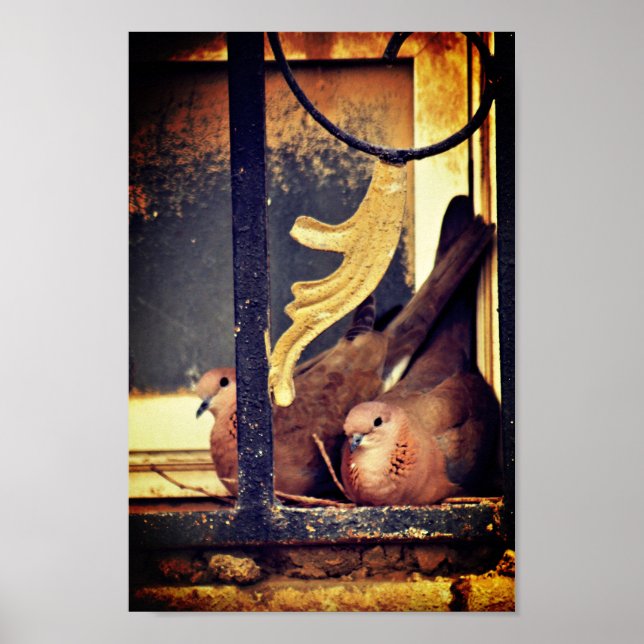 Affiche de préparation du patient (Devant)