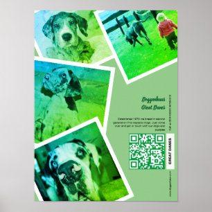 Affiche de promotion de chenil de Grand Danois