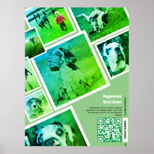 Affiche de promotion d'un élevage de Dogues Allema