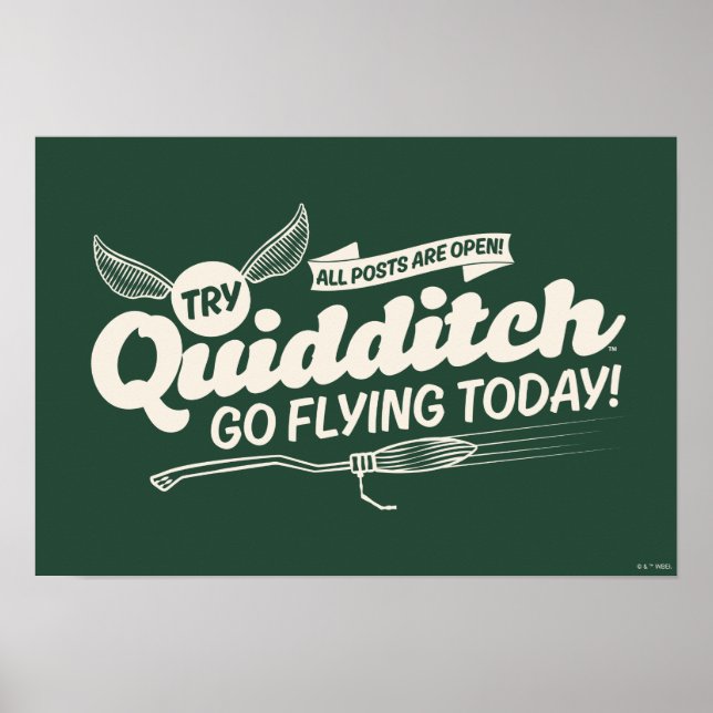 Affiche de recrutement de QUIDDITCH™ (Devant)