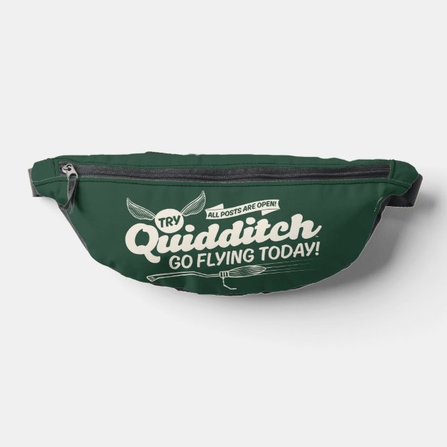 Affiche de recrutement de QUIDDITCH™ (Poser)