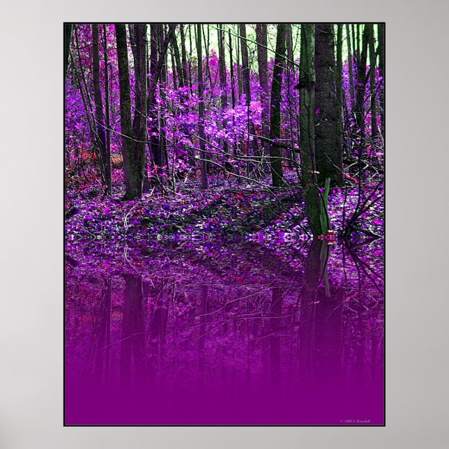 Affiche de Réflexions violettes (Devant)