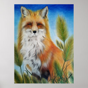 Affiche de renard