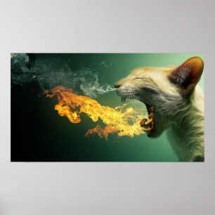 Affiche de respiration du feu de chat