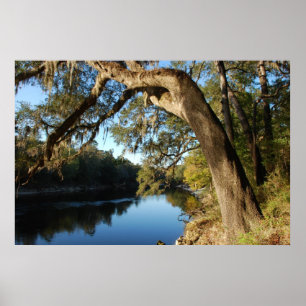 Affiche de rivière de Suwannee