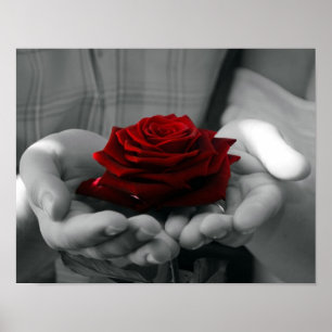 Affiche de rose rouge d'éclaboussure de couleur