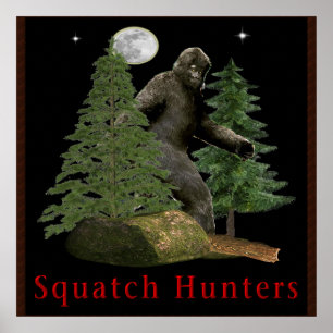 Affiche de Sasquatch