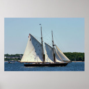 Affiche de schooner de Bluenose II